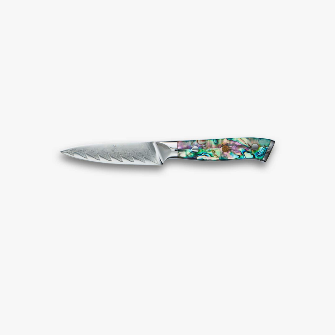 Japanese Damascus Knife Set - VG10 - | 67-Layer Steel, Abalone Handle