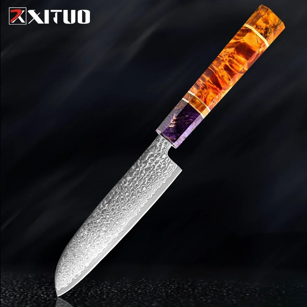Japanese Chef Knife Set – 67-Layer Damascus Steel