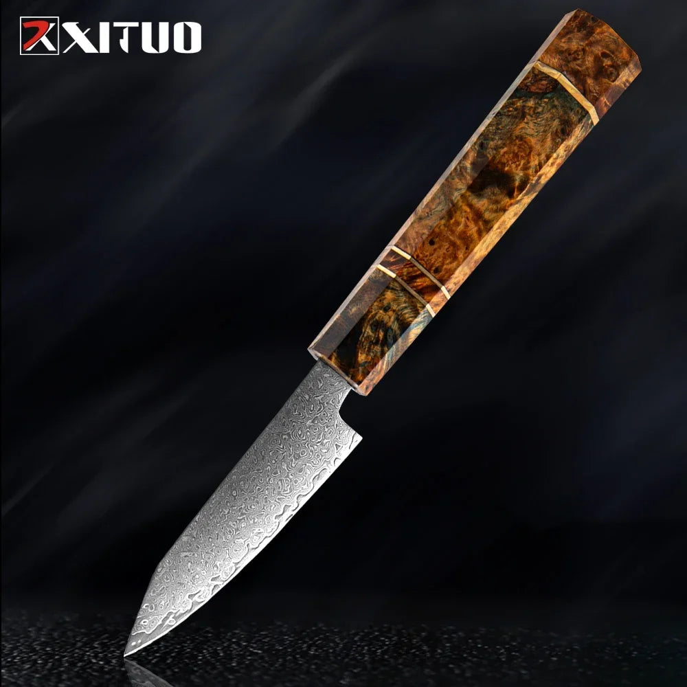 Japanese Chef Knife Set – 67-Layer Damascus Steel