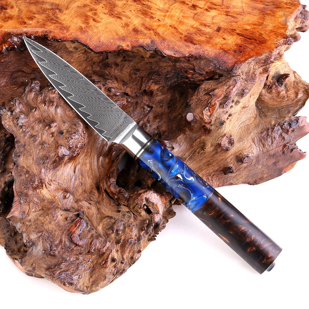 9-Piece Damascus Knife Set – 67-Layer Steel, Blue Resin Handle | Edge and Steel