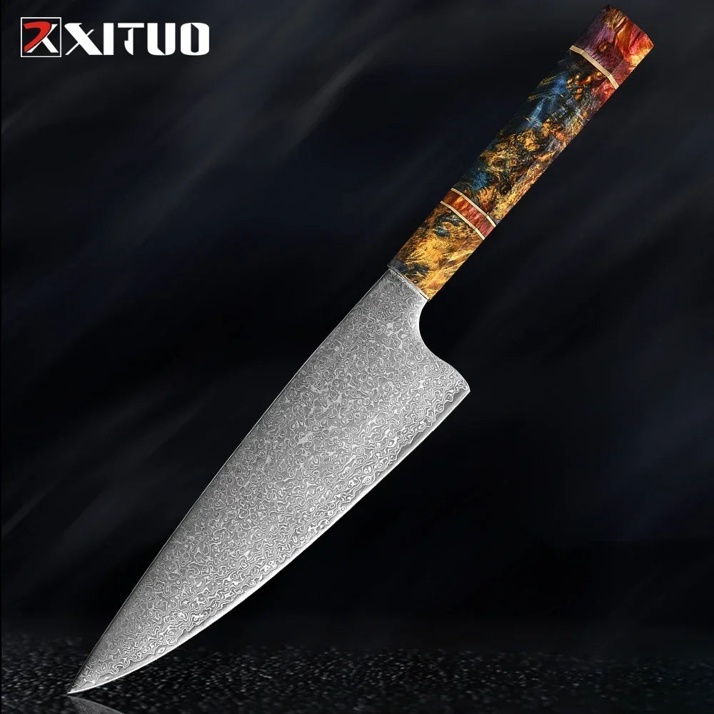 Japanese Chef Knife Set – 67-Layer Damascus Steel